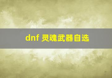 dnf 灵魂武器自选